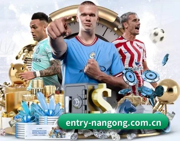 entry-nangong.com.cn APP 深度功能